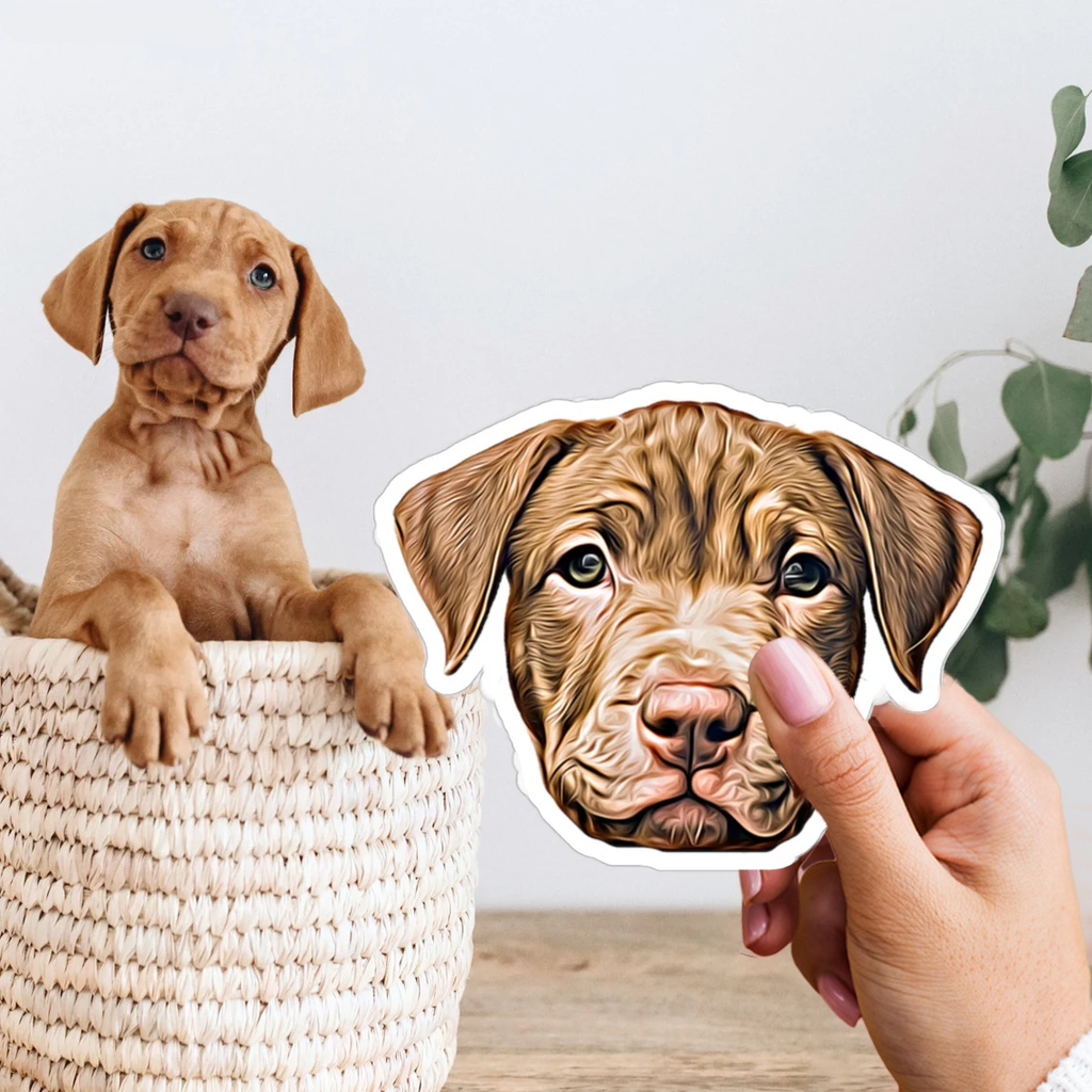 3x Autocollant personnalisé pour votre animal de compagnie